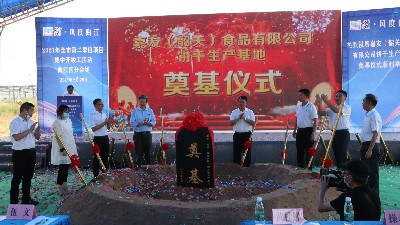 ̫ų8722޹˾عصڨʽԲֳ