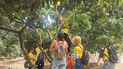 縣̫ų8722֯ժ֦