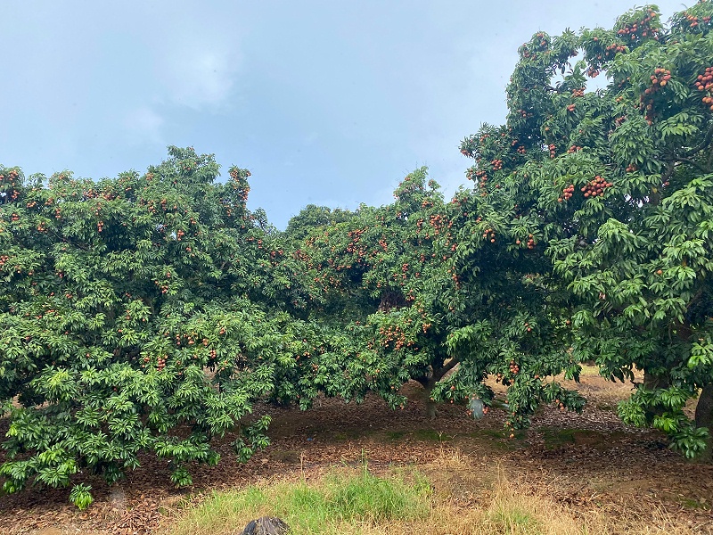 縣̫ų8722֯ժ֦